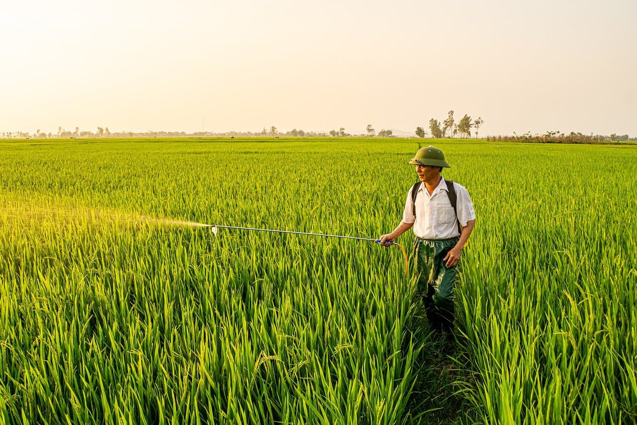 Sustainable Farming Practice