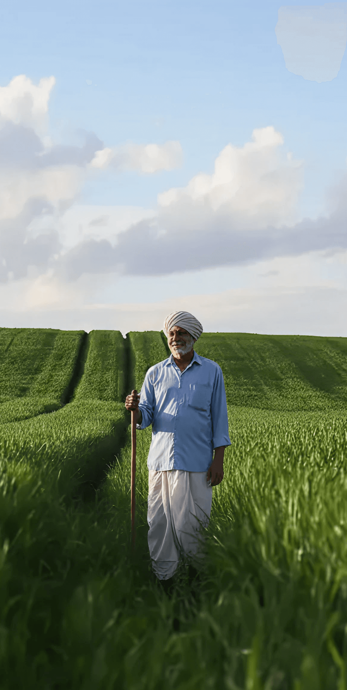 Daichi International Mobile Hero