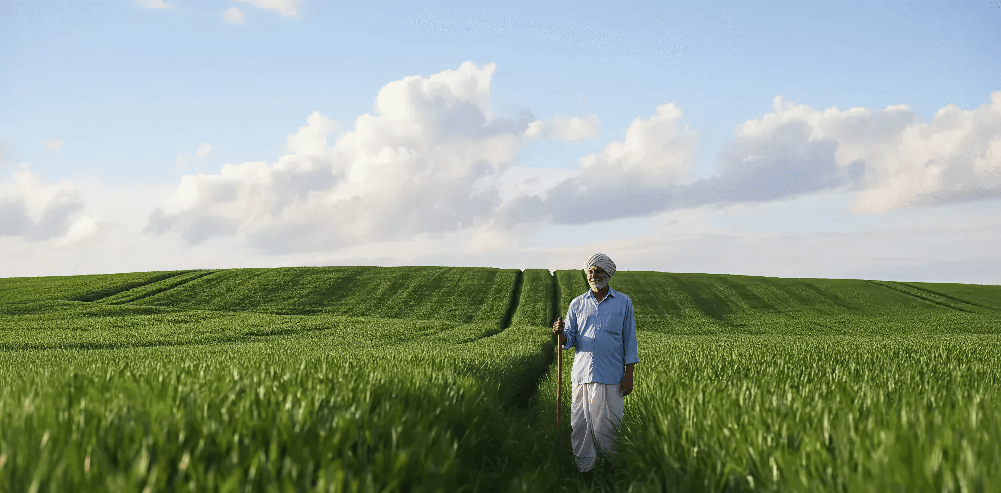 Daichi International Hero