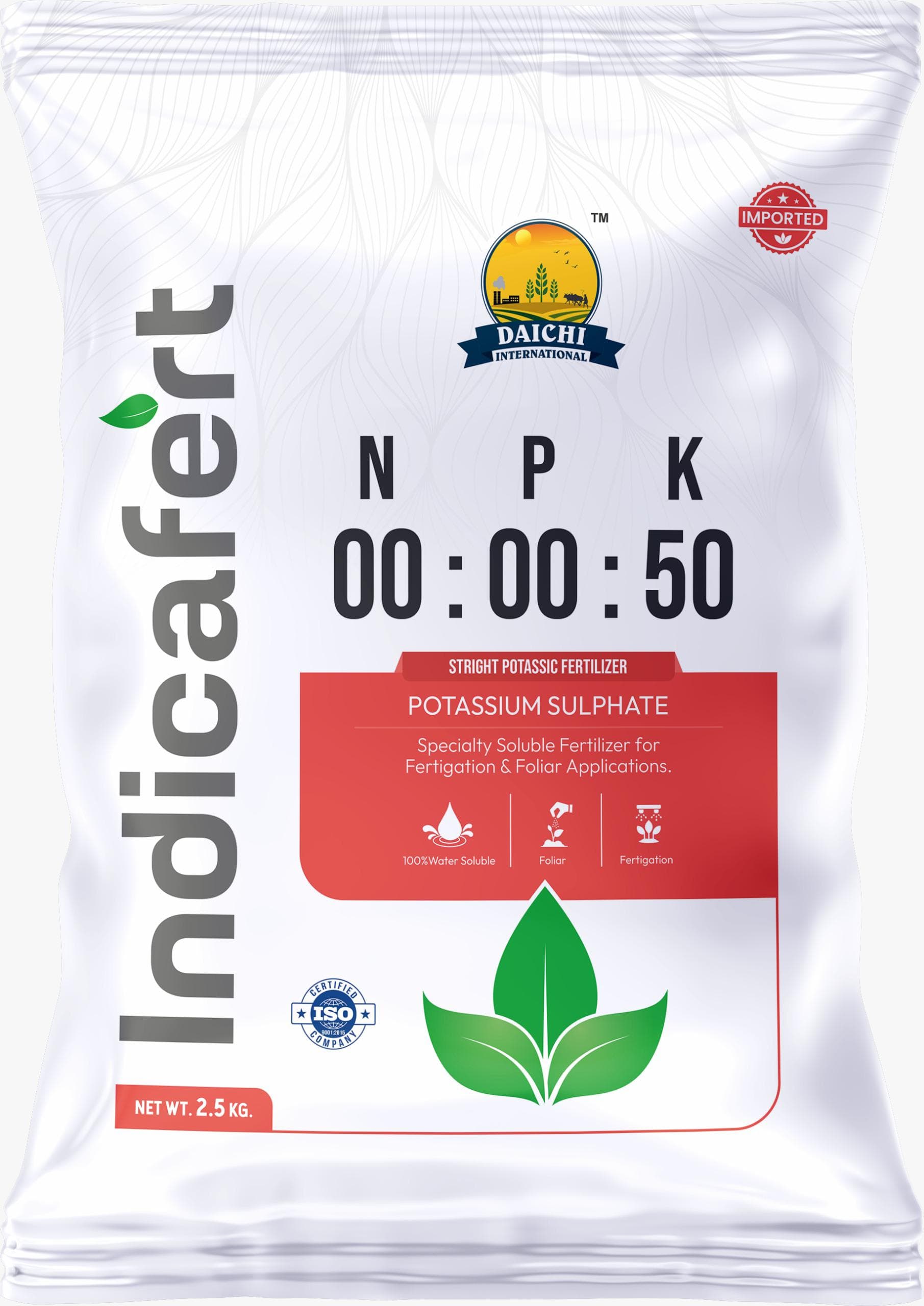 Trending Product 11