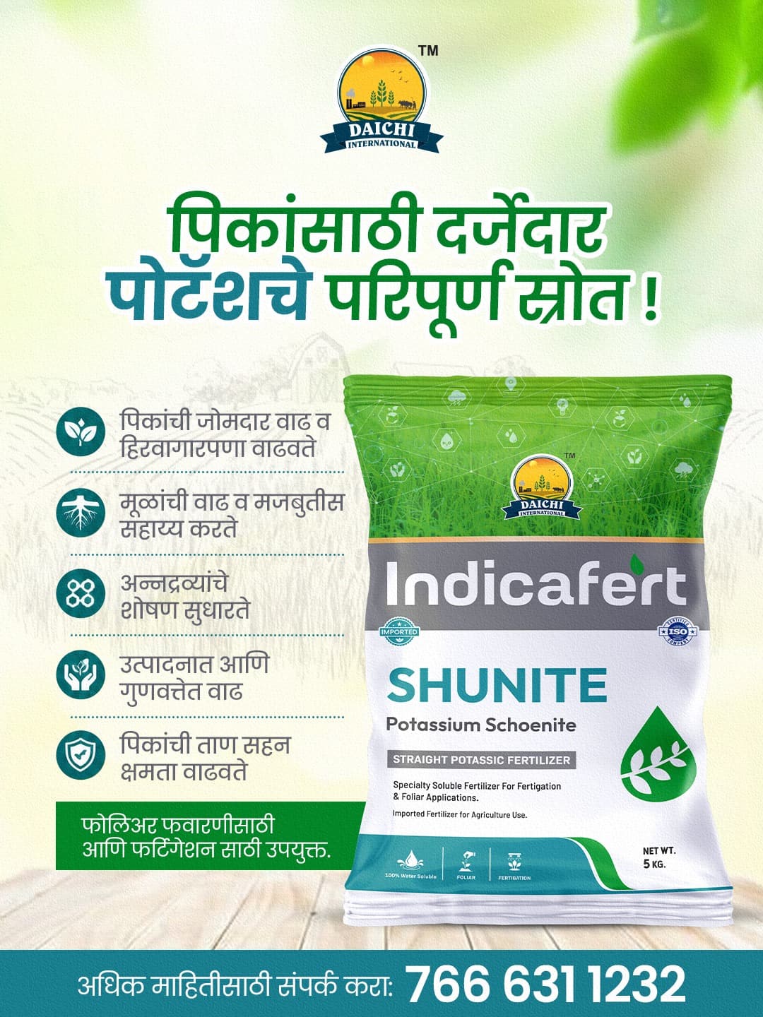 Trending Product 14